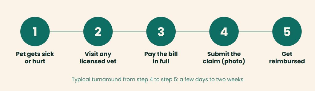 Five-step diagram showing how a pet insurance claim is reimbursed
