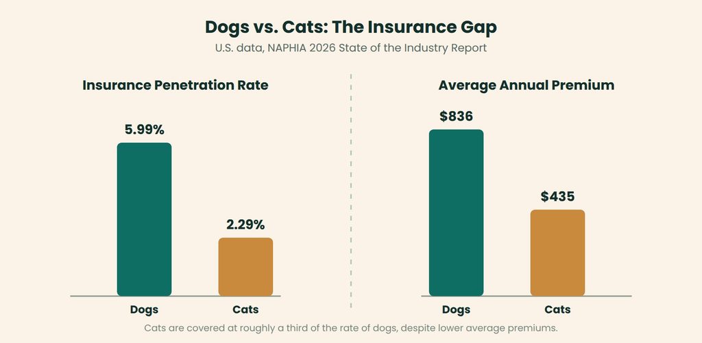 Chart comparing pet insurance for dogs and cats