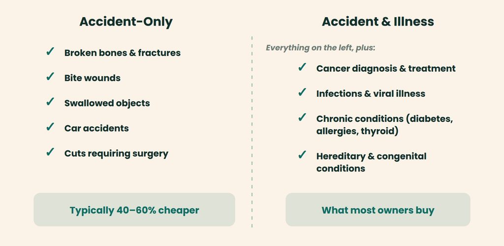 Comparison table of accident-only and accident and illness pet insurance coverage