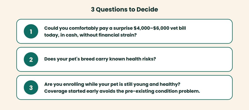 Checklist of three questions to ask before buying pet insurance