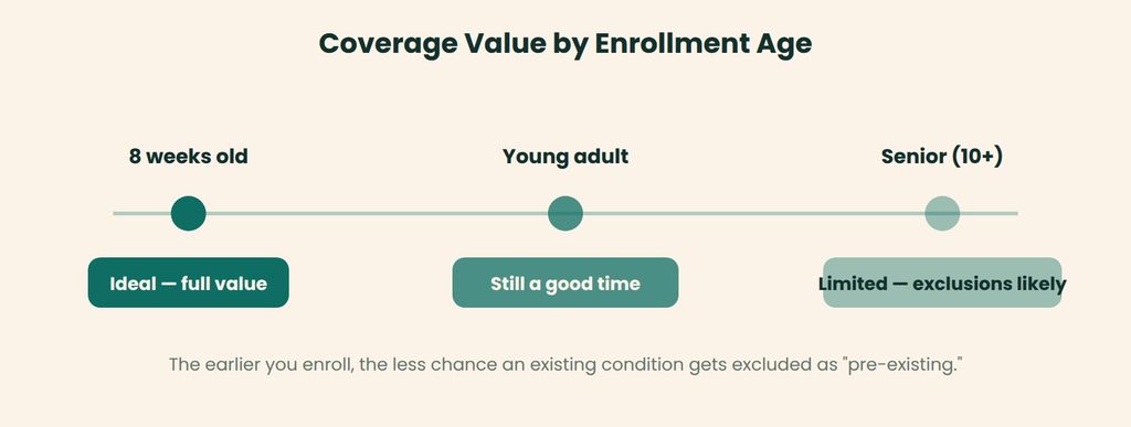 Timeline of the pet insurance enrollment window