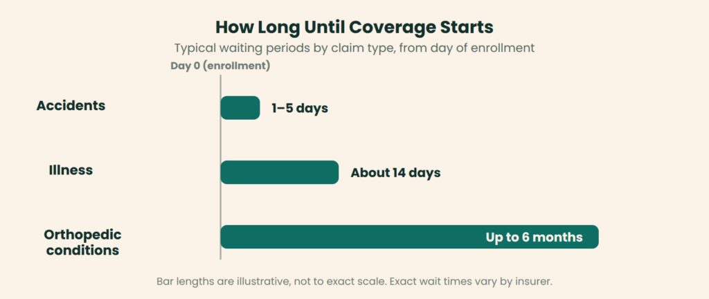 Timeline of pet insurance waiting periods