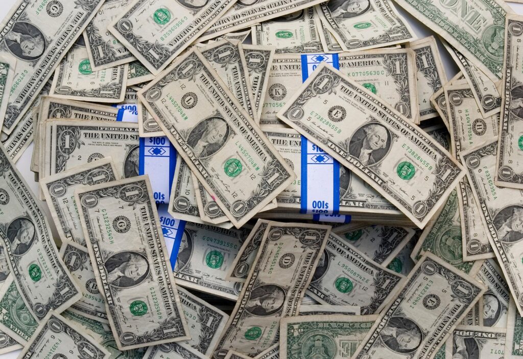 Money, illustrating paying a vet bill