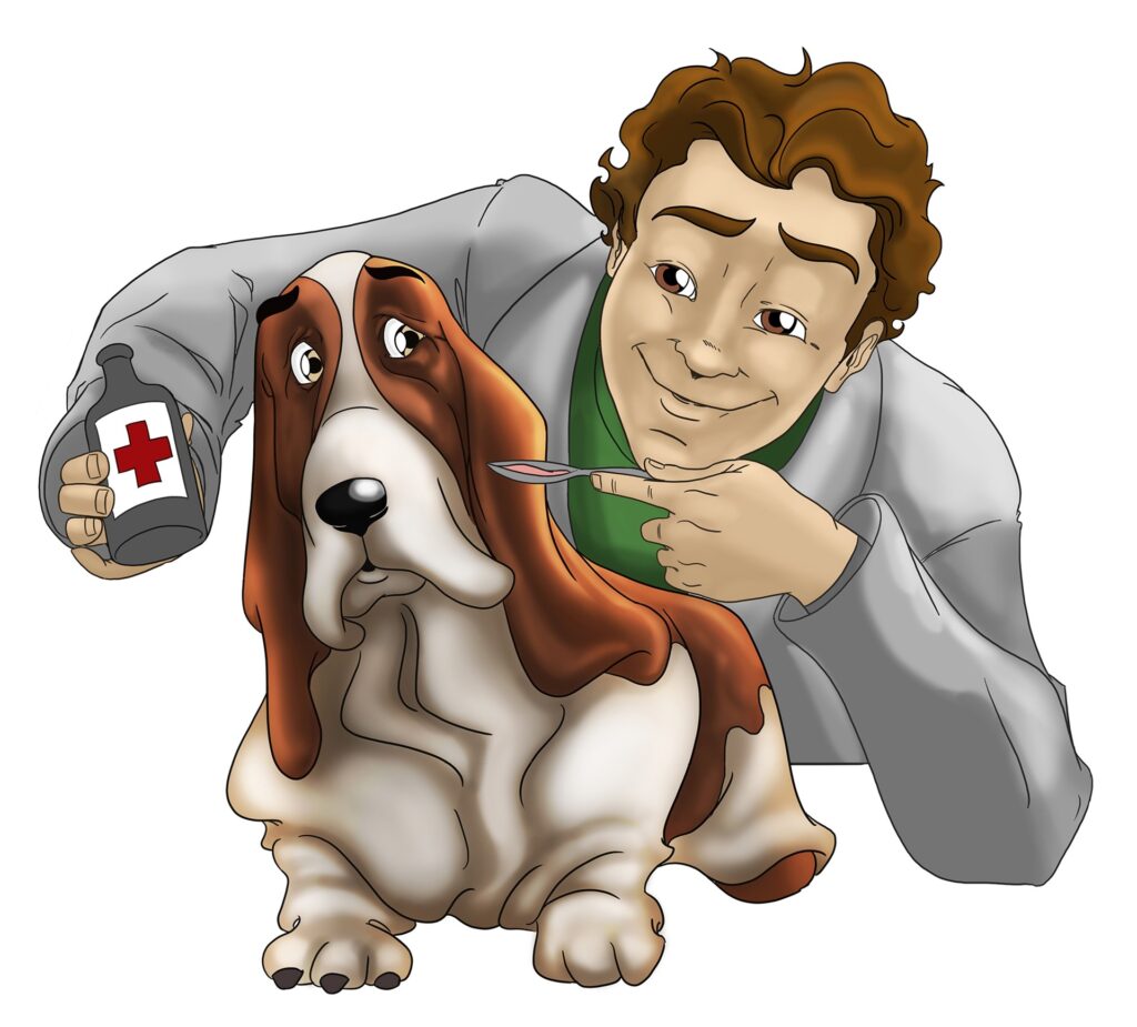 Veterinarian, illustrating when to get pet insurance