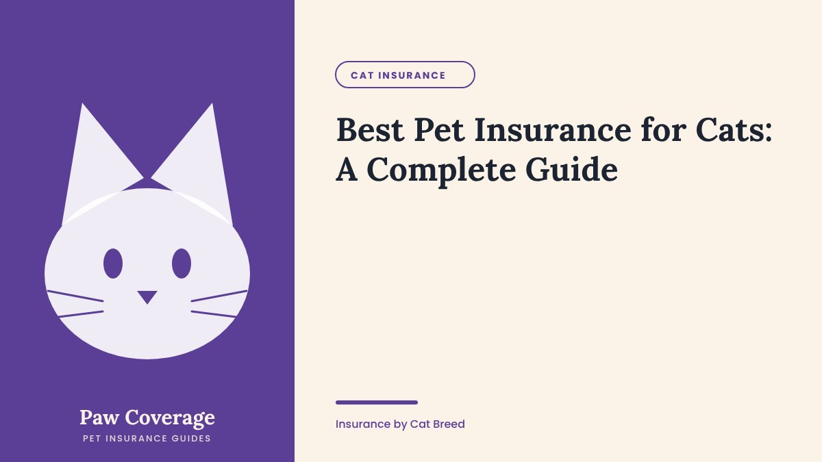 Paw Coverage cover for the complete guide to pet insurance for cats