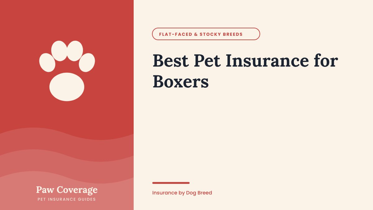 Paw Coverage cover for the Boxer pet insurance guide