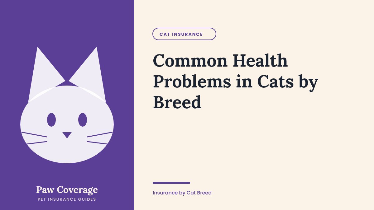 Paw Coverage cover for the common health problems in cats by breed guide