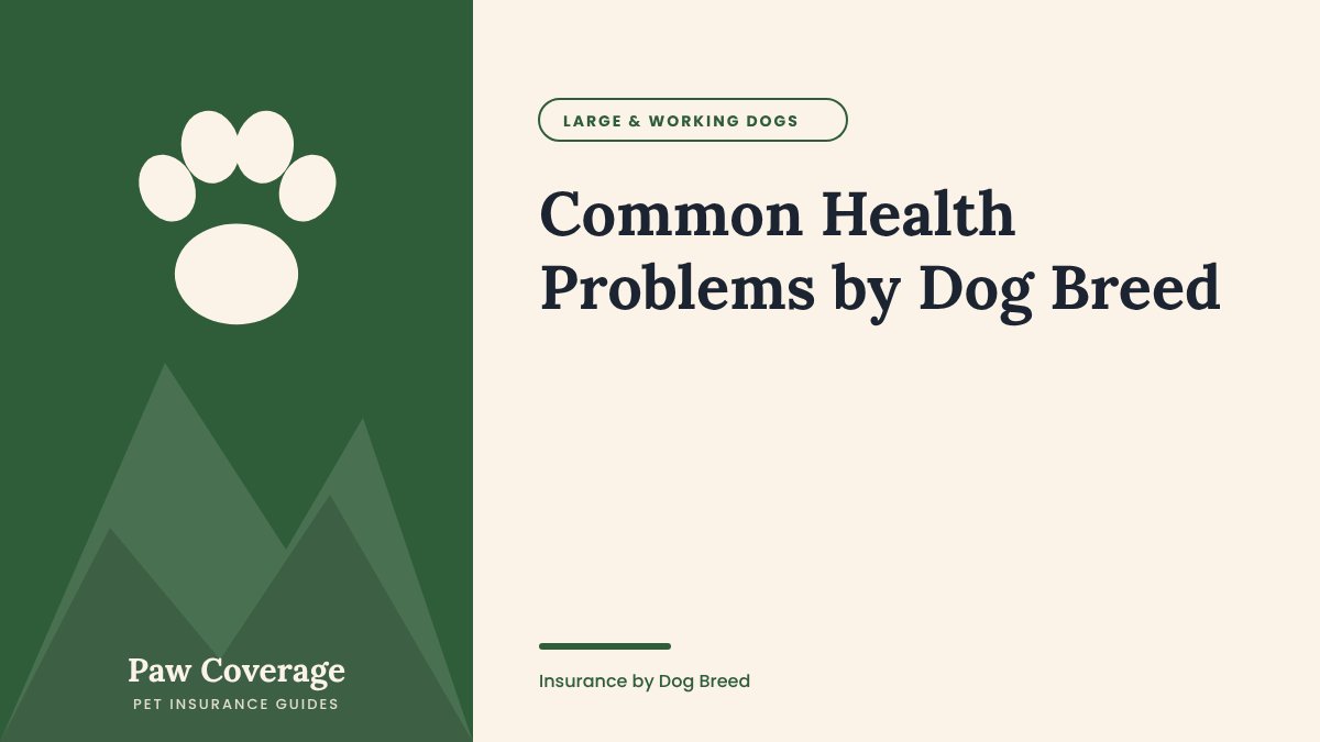 Paw Coverage cover for the common health problems by dog breed guide
