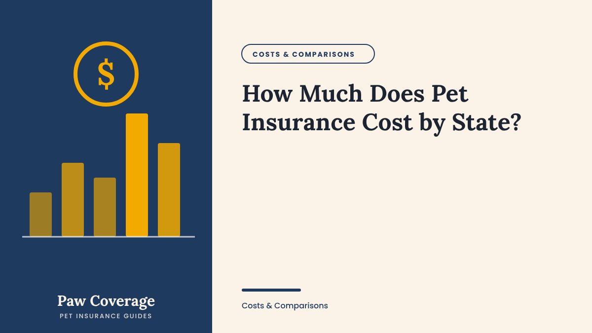 Paw Coverage cover for the pet insurance cost by state guide