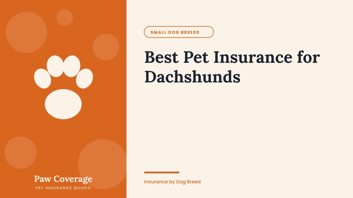 Paw Coverage cover for the Dachshund pet insurance guide