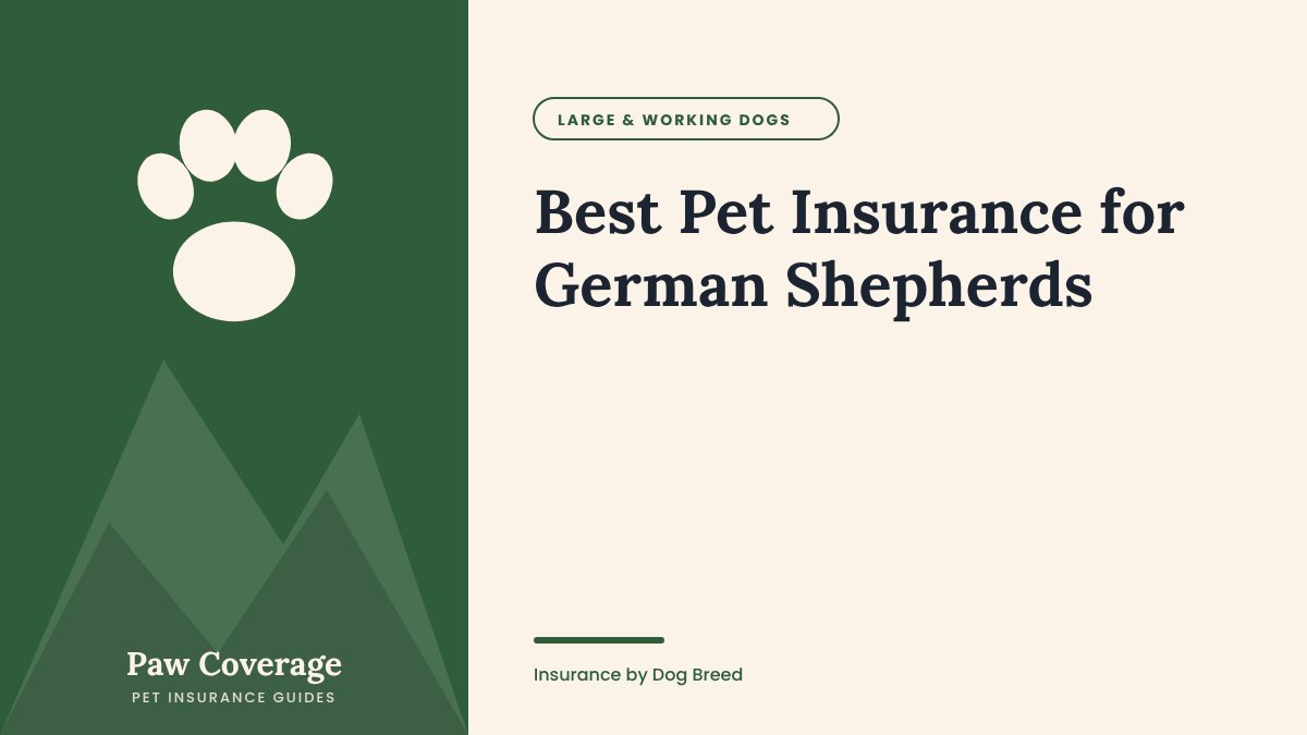 Paw Coverage cover for the German Shepherd pet insurance guide