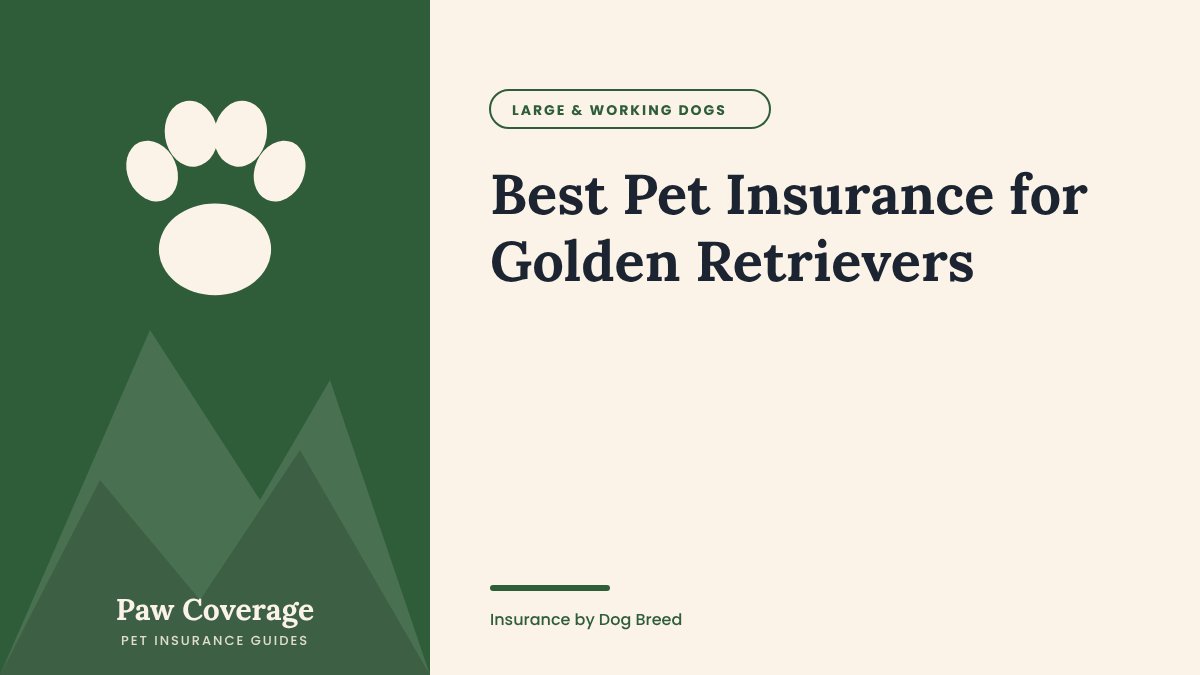 Paw Coverage cover for the Golden Retriever pet insurance guide