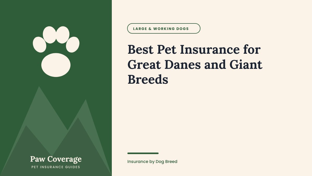 Paw Coverage cover for the Great Dane and giant breeds pet insurance guide