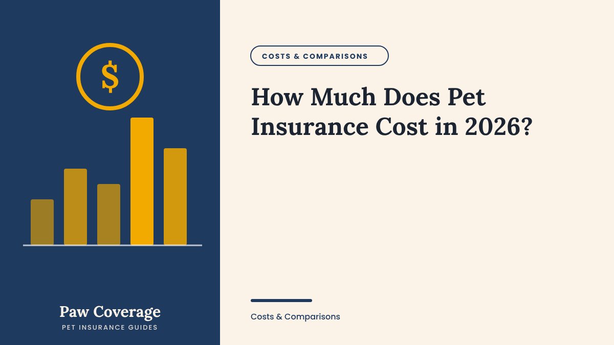 Paw Coverage cover for the how much pet insurance costs guide