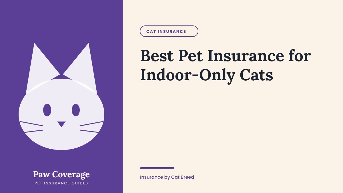 Paw Coverage cover for the indoor-only cats pet insurance guide