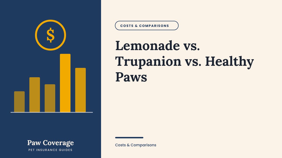 Paw Coverage cover for the Lemonade vs Trupanion vs Healthy Paws comparison