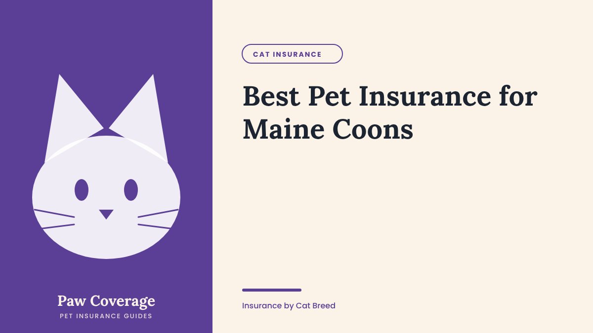 Paw Coverage cover for the Maine Coon pet insurance guide