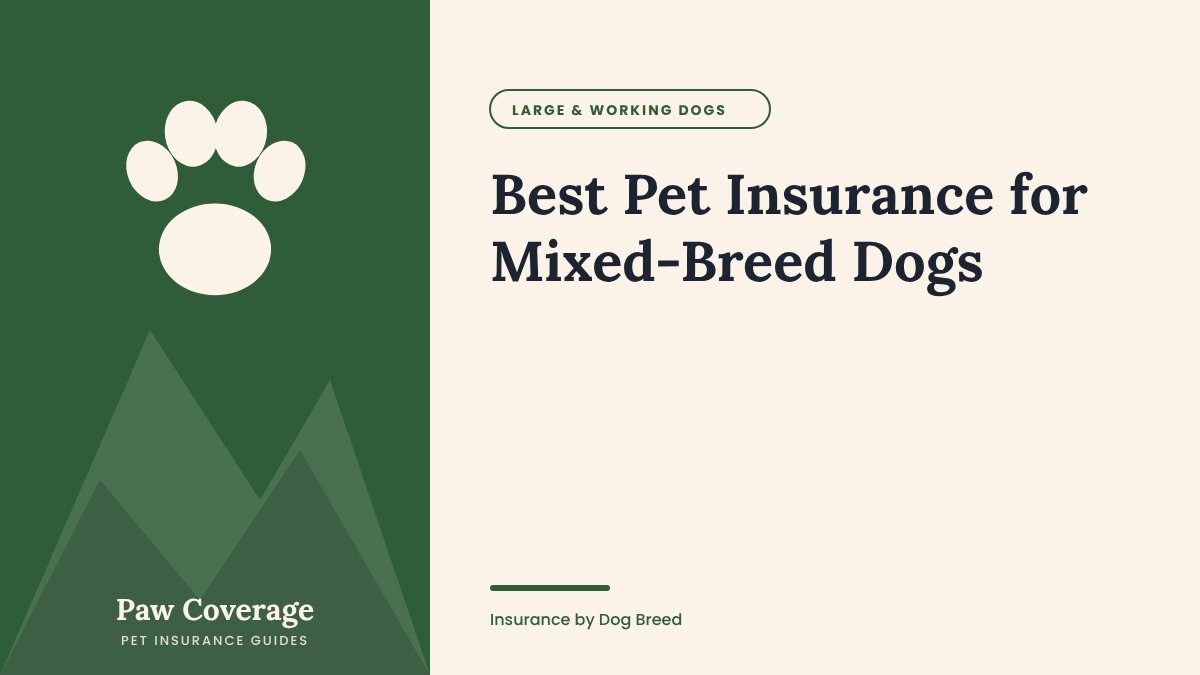 Paw Coverage cover for the mixed-breed dog pet insurance guide