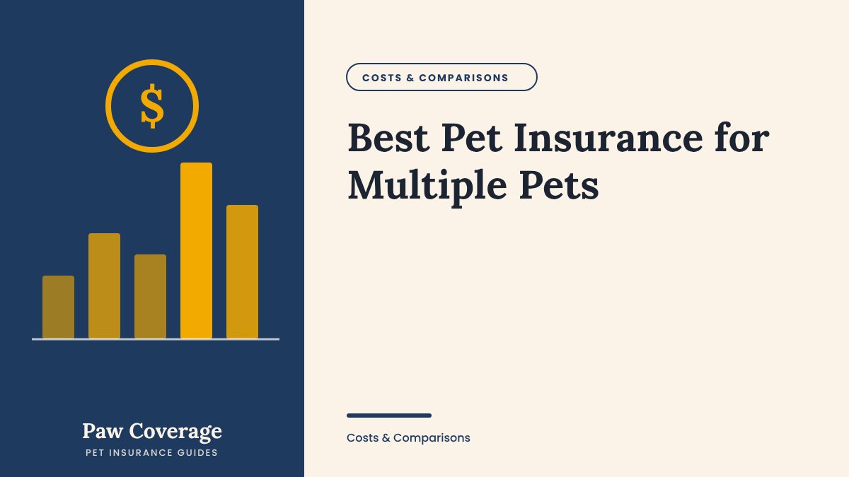 Paw Coverage cover for the multiple pets insurance guide