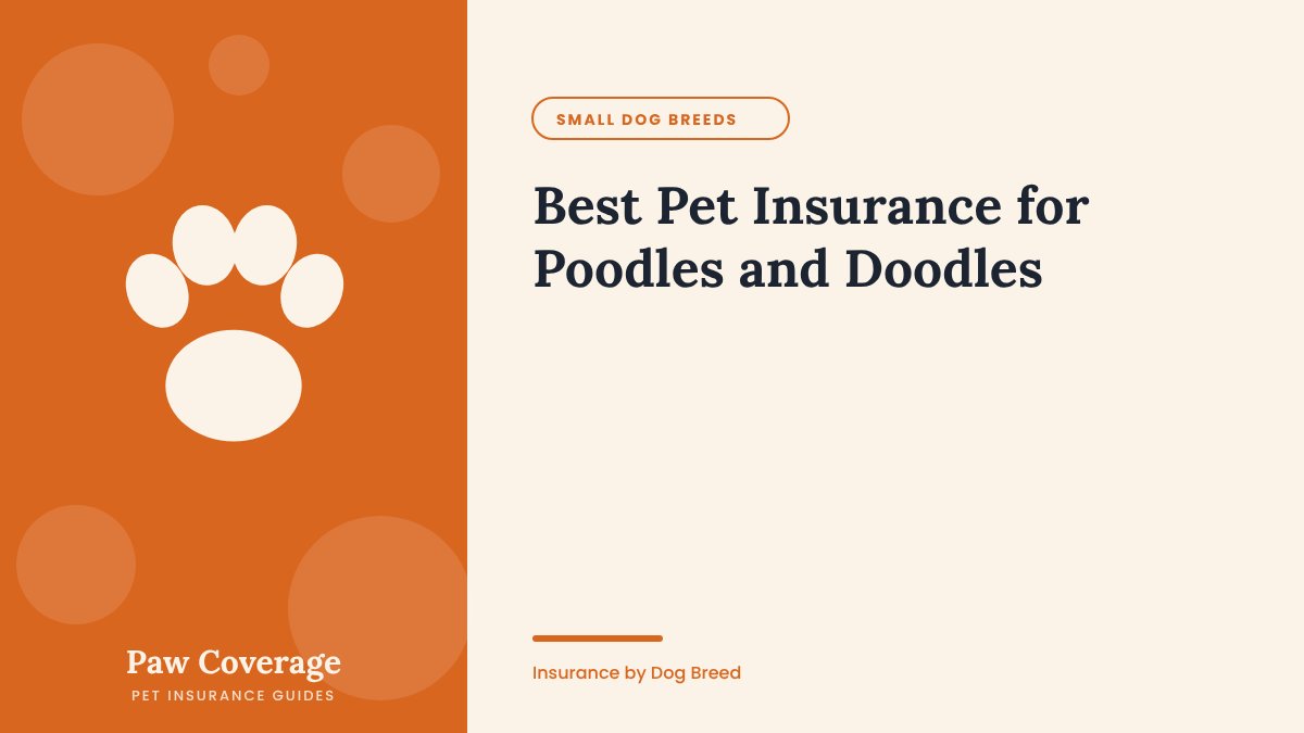 Paw Coverage cover for the Poodle and doodle pet insurance guide