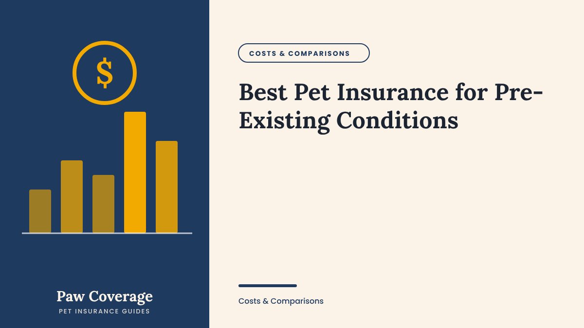 Paw Coverage cover for the pre-existing conditions pet insurance guide