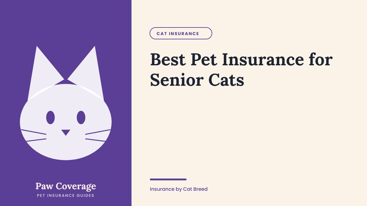 Paw Coverage cover for the senior cats pet insurance guide
