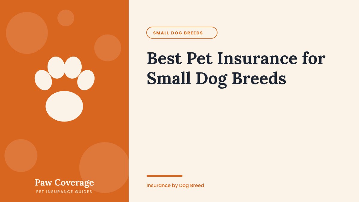 Paw Coverage cover for the small dog breeds pet insurance guide