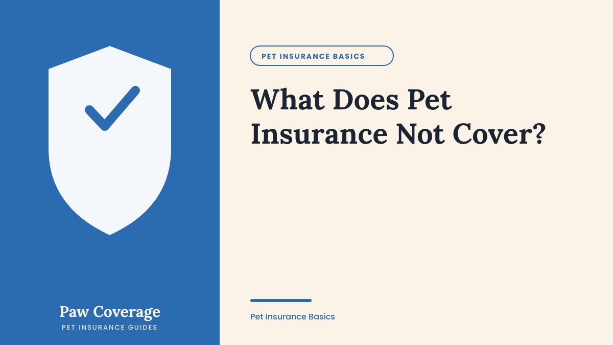 Paw Coverage cover for the what pet insurance does not cover guide