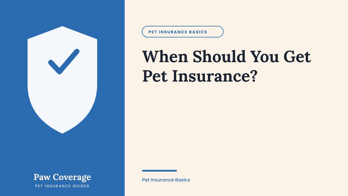 Paw Coverage cover for the guide on when to get pet insurance