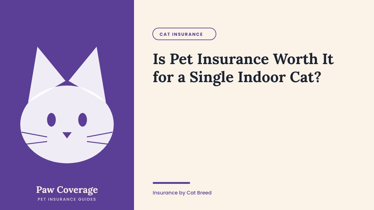 Paw Coverage cover for the is pet insurance worth it for an indoor cat guide
